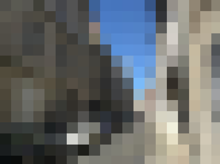  / #7