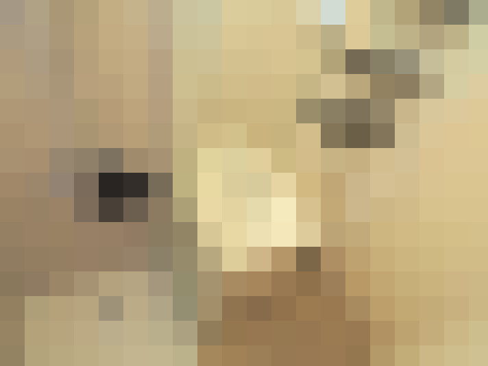  / #9