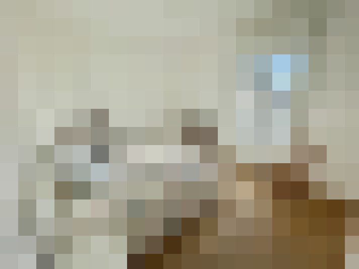  / #8