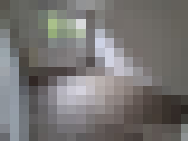  / #6