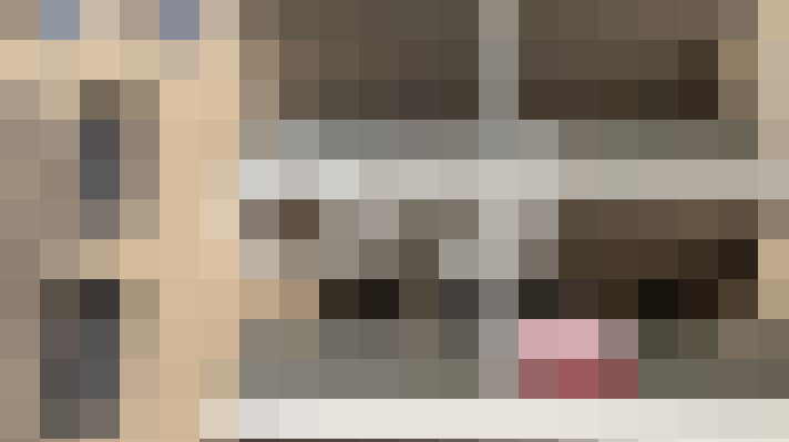  / #11