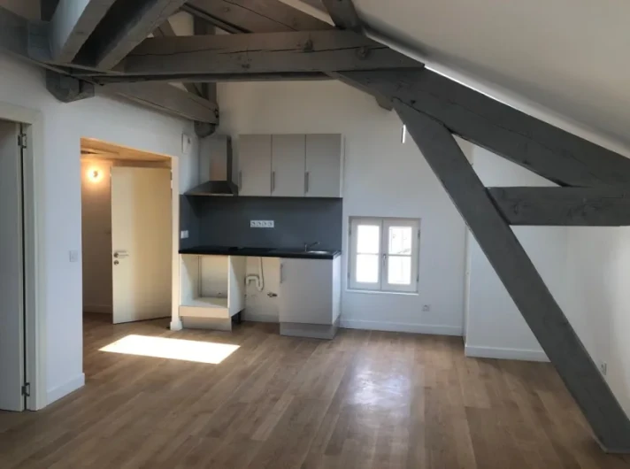 Voir la photo 1/5 du type apartment à Clermont-Ferrand