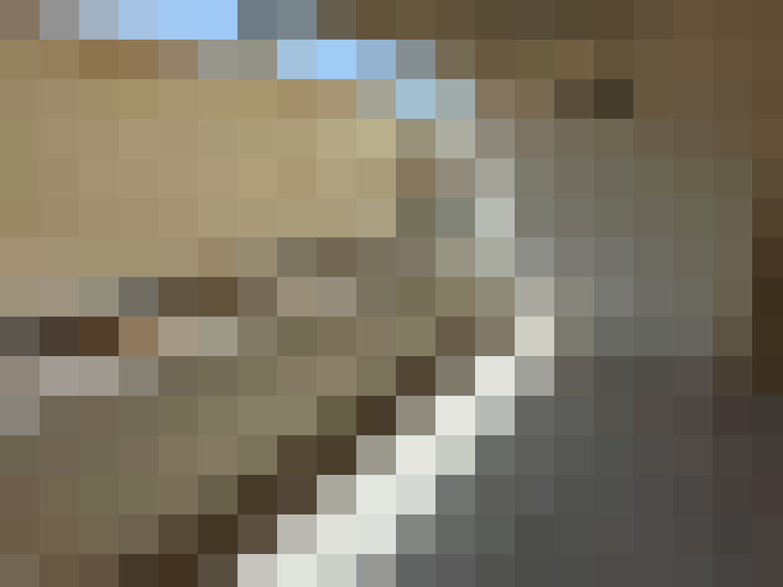  / #7