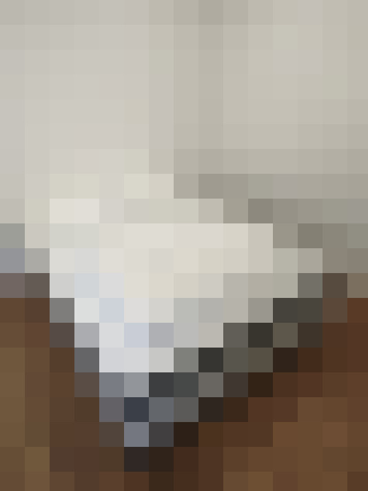  / #8