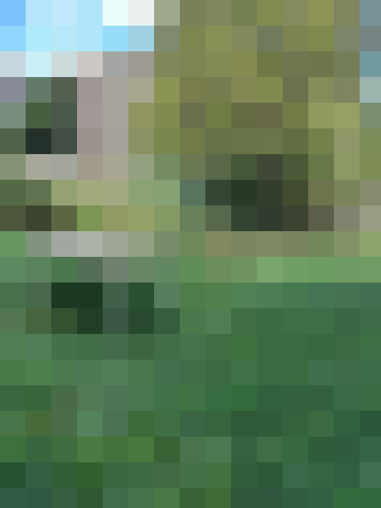  / #13