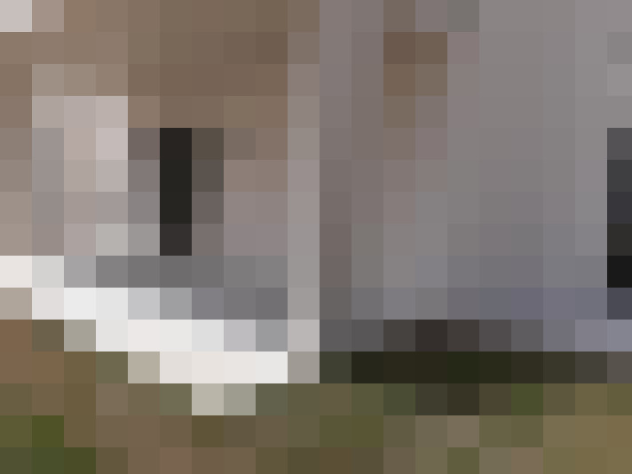  / #7