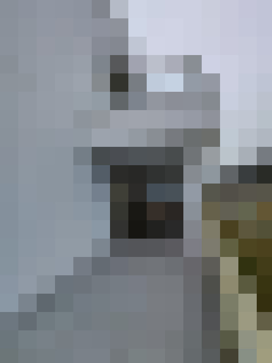  / #11