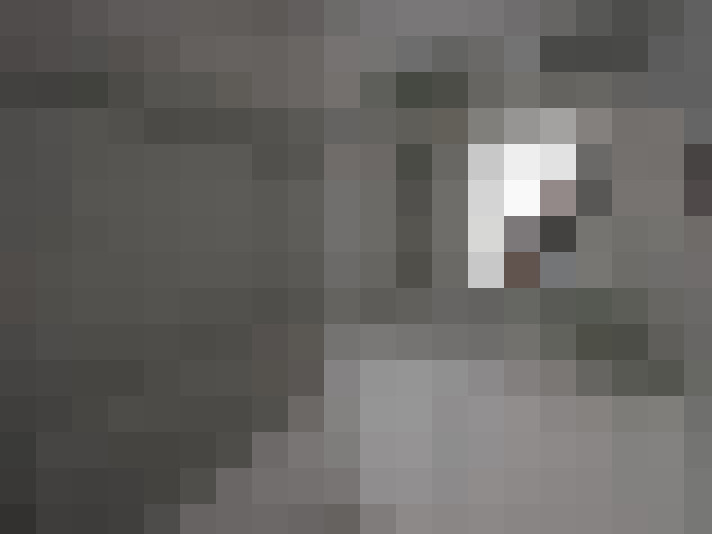  / #9