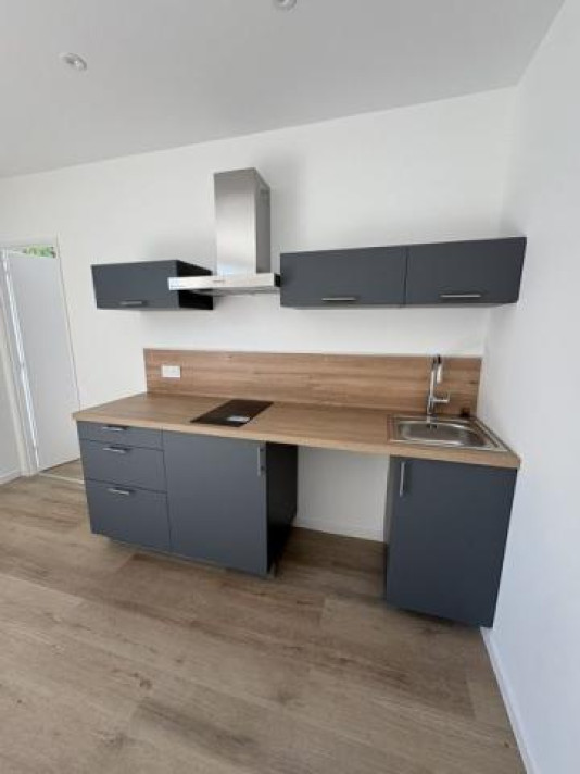 Voir la photo 1/13 du type apartment à Montauban