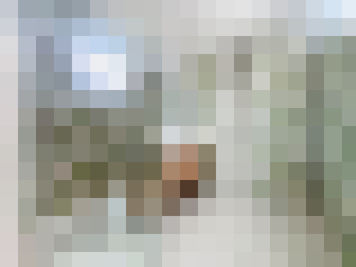  / #14