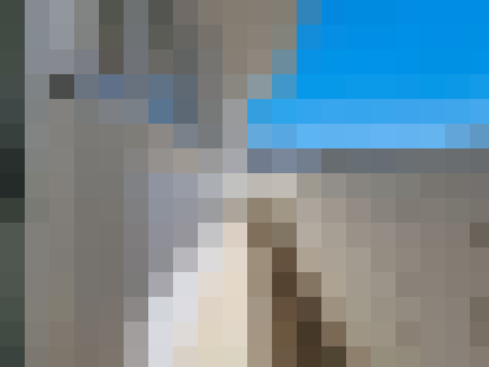  / #15