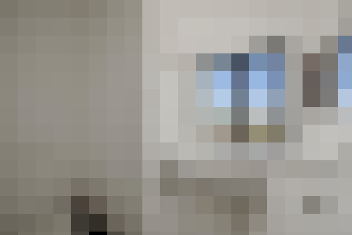  / #21
