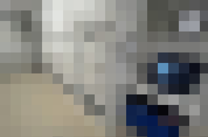  / #7