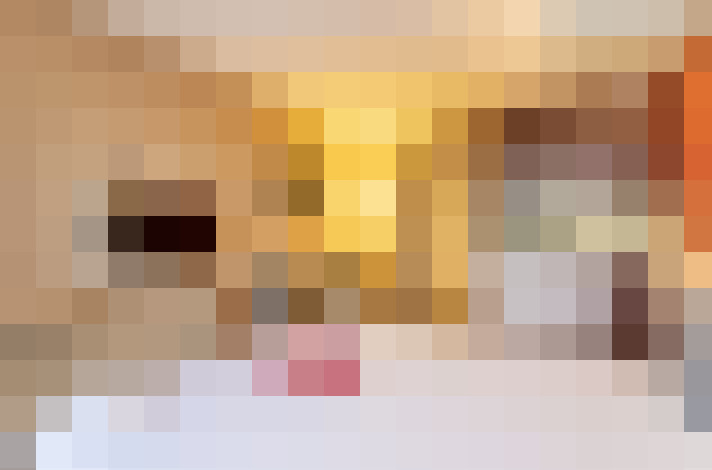  / #21