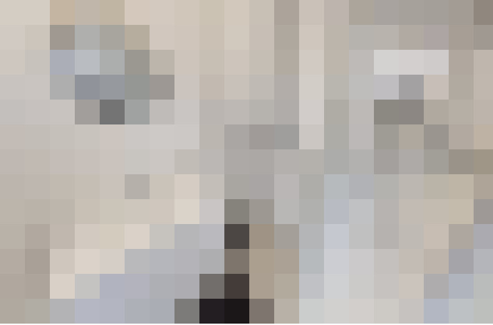  / #12
