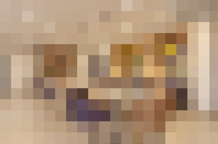 / #12