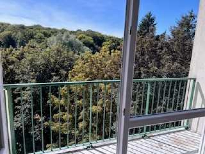 Voir la photo 1/4 du type apartment à Valentigney