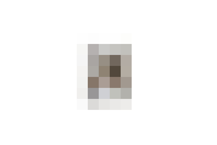  / #11