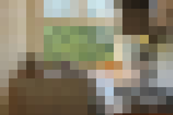  / #19