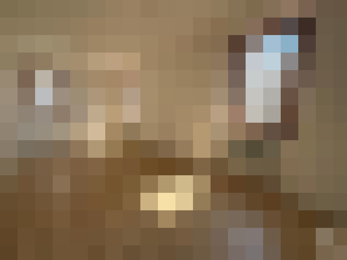  / #8