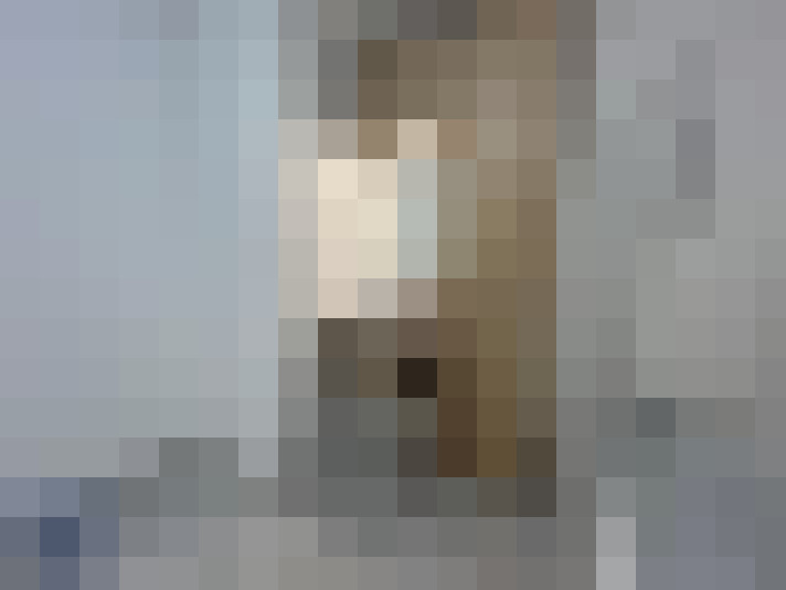  / #14