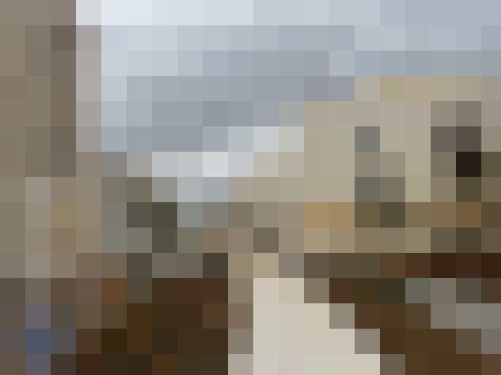  / #16