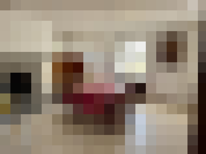  / #7