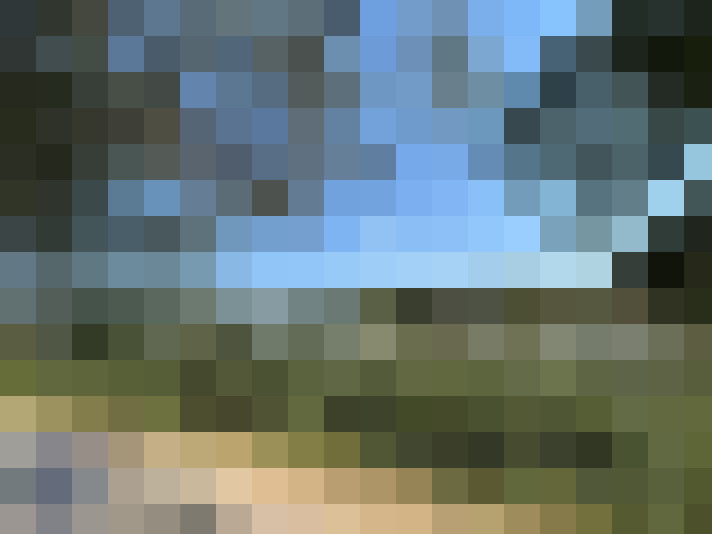  / #14