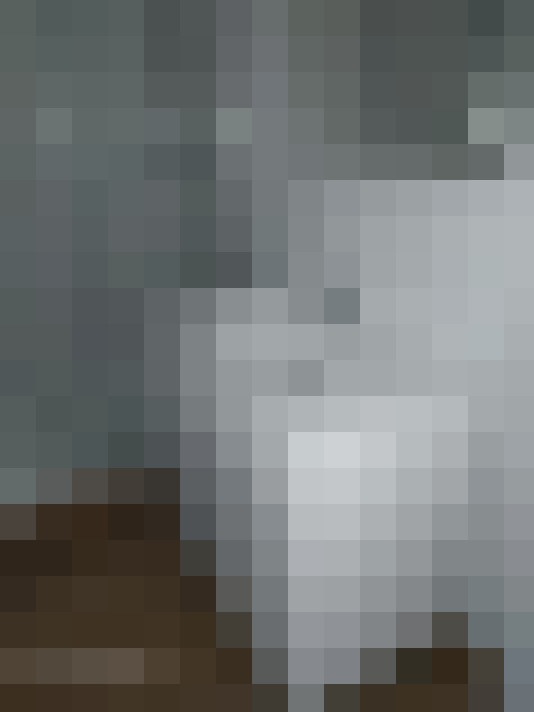  / #11