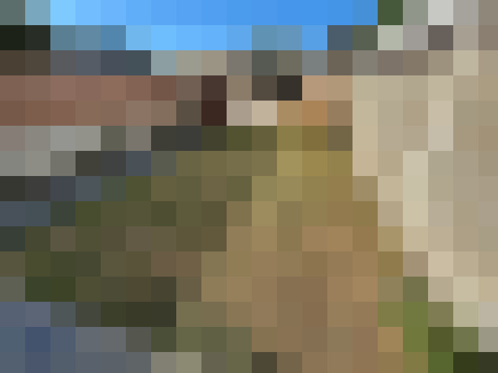  / #14