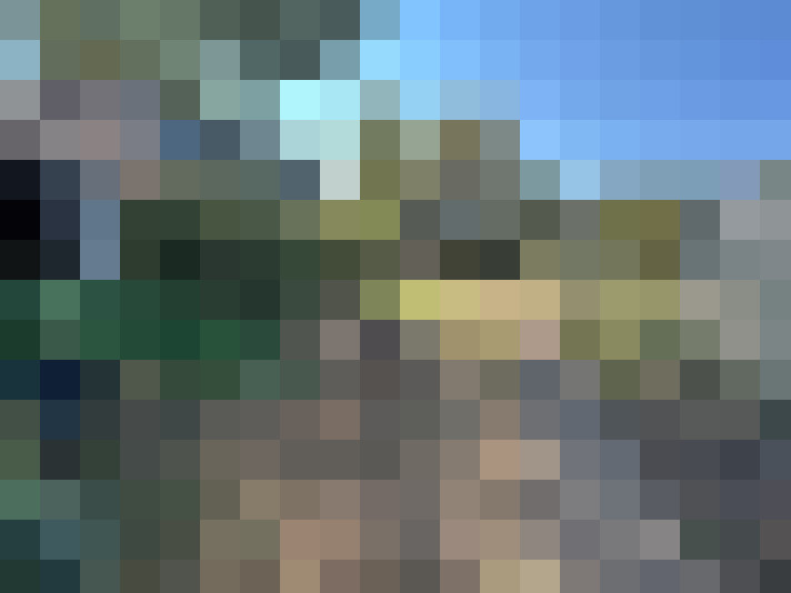  / #15