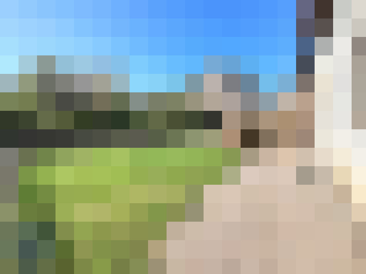  / #14