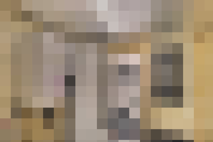  / #14