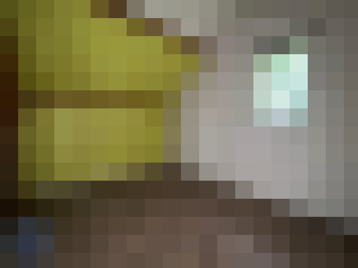  / #11