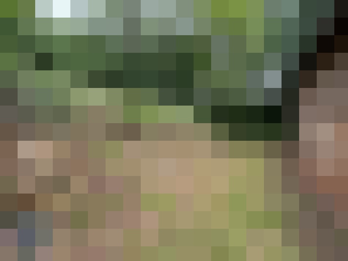  / #17