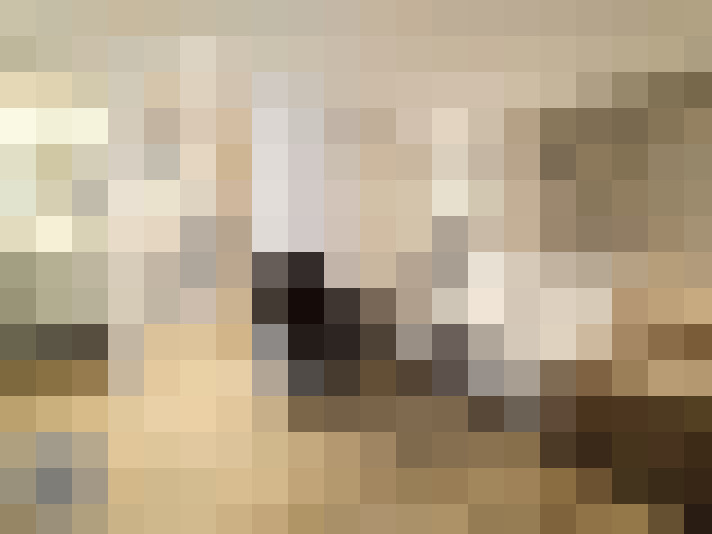  / #14