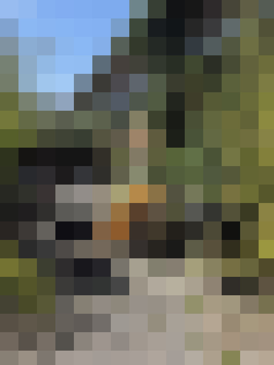  / #12