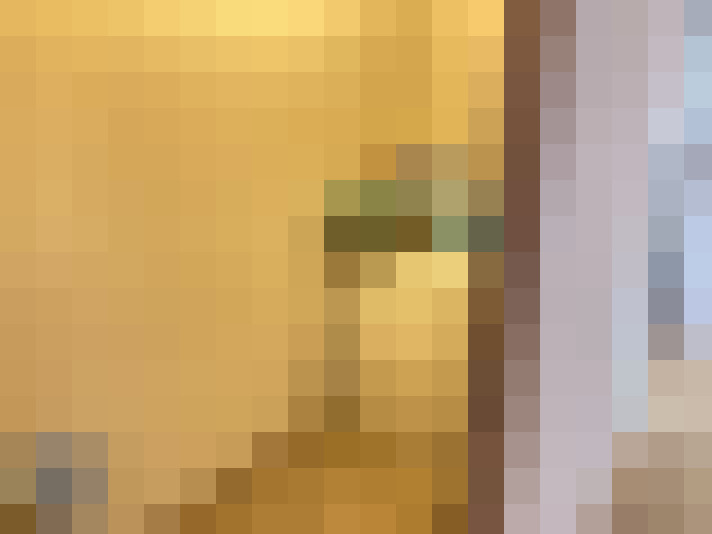  / #19