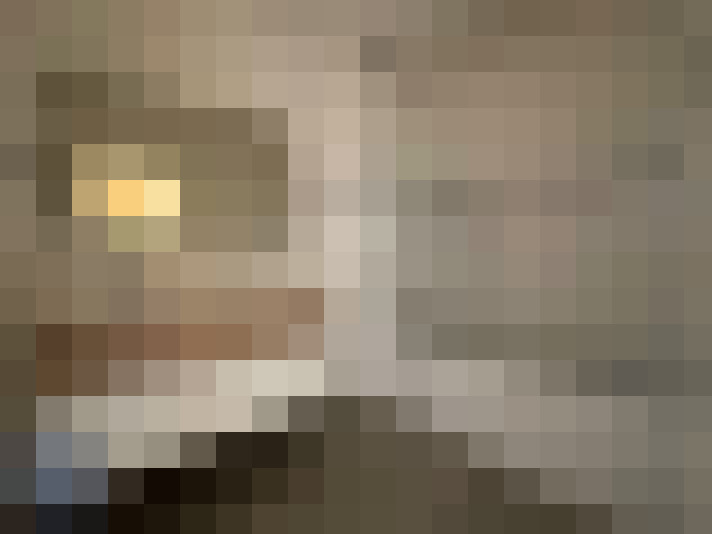  / #8