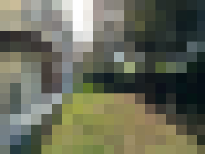  / #20