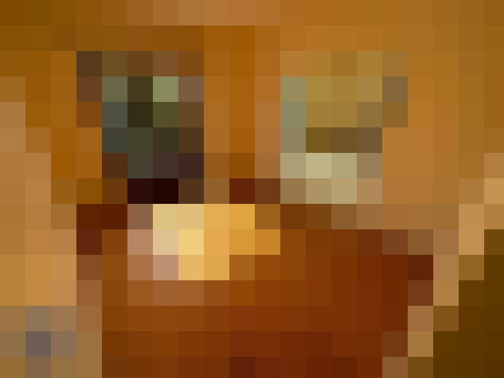  / #11