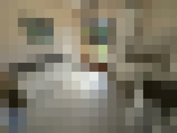  / #24