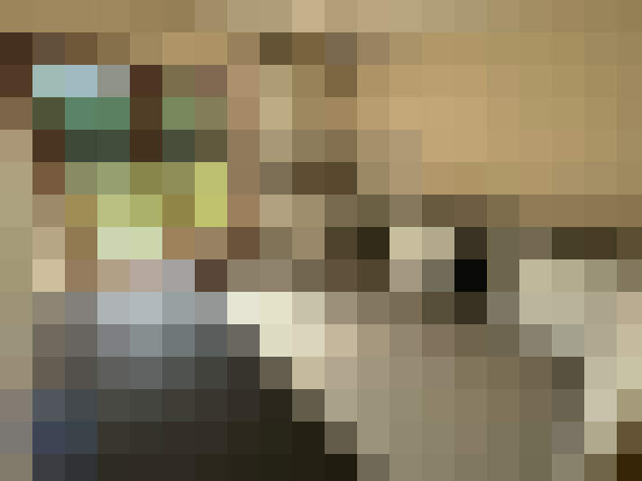  / #23