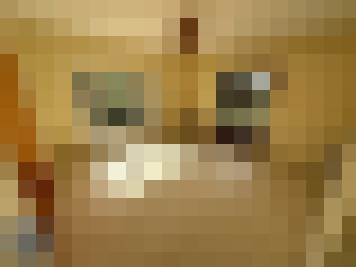  / #12