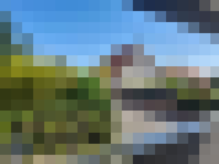  / #15