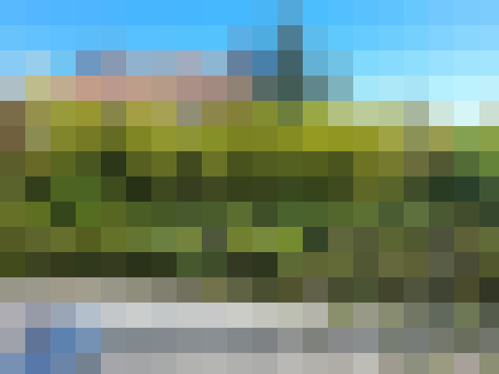  / #14