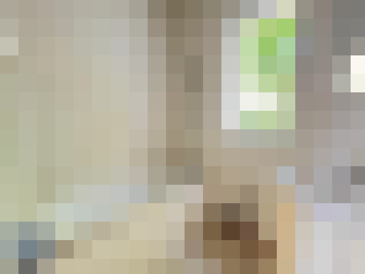  / #15