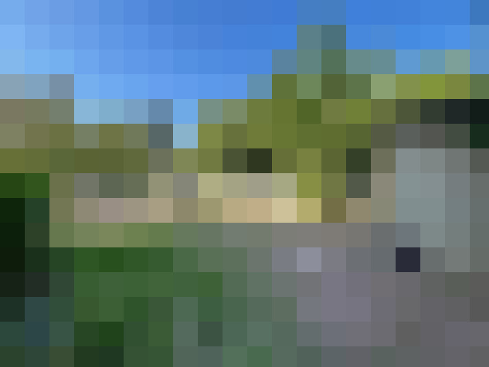 / #17