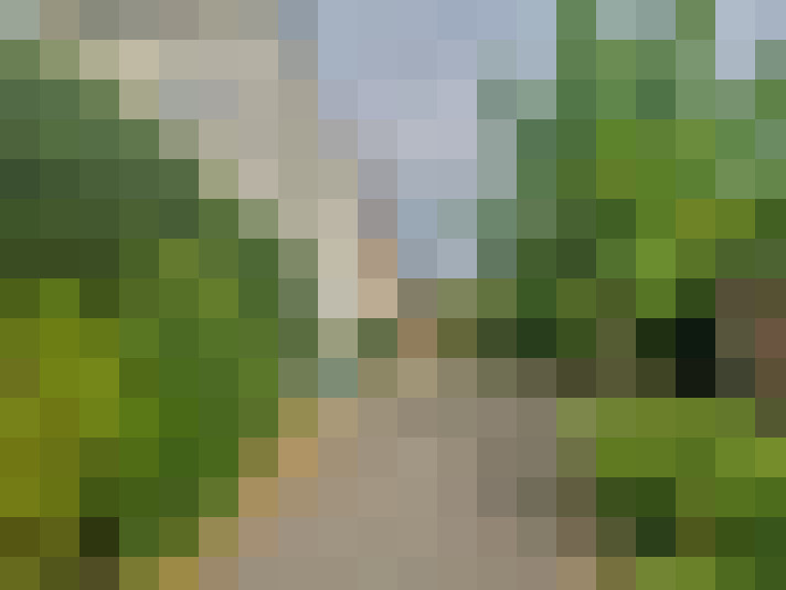  / #14