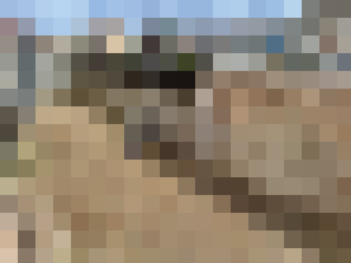  / #15